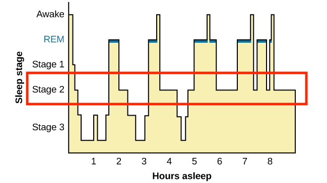 NREM stage 2 is highlighted on a graph of sleep stages