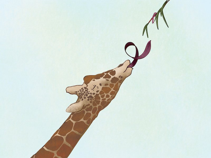 cute giraffe drawing tumblr