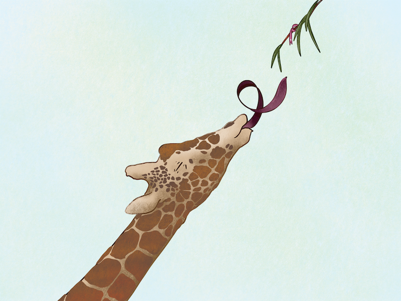 cute giraffe drawings tumblr